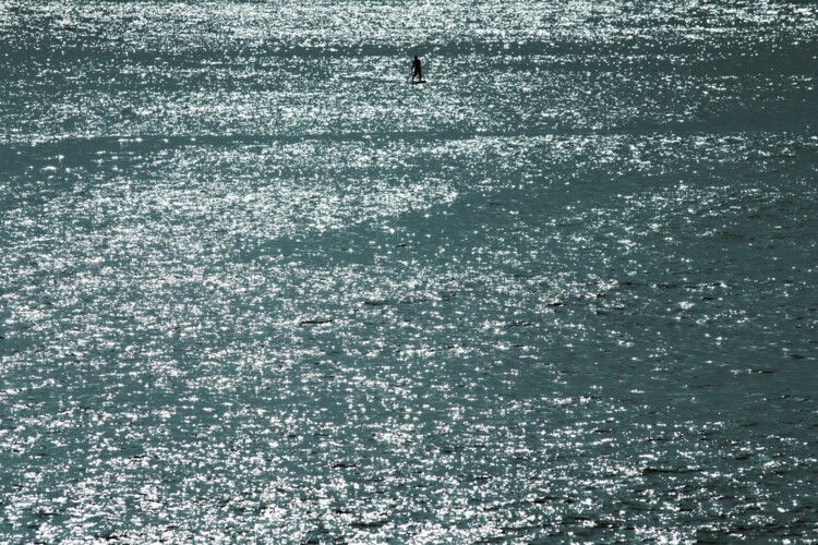 Stand Up Paddle e isla de Santa Clara con picnic